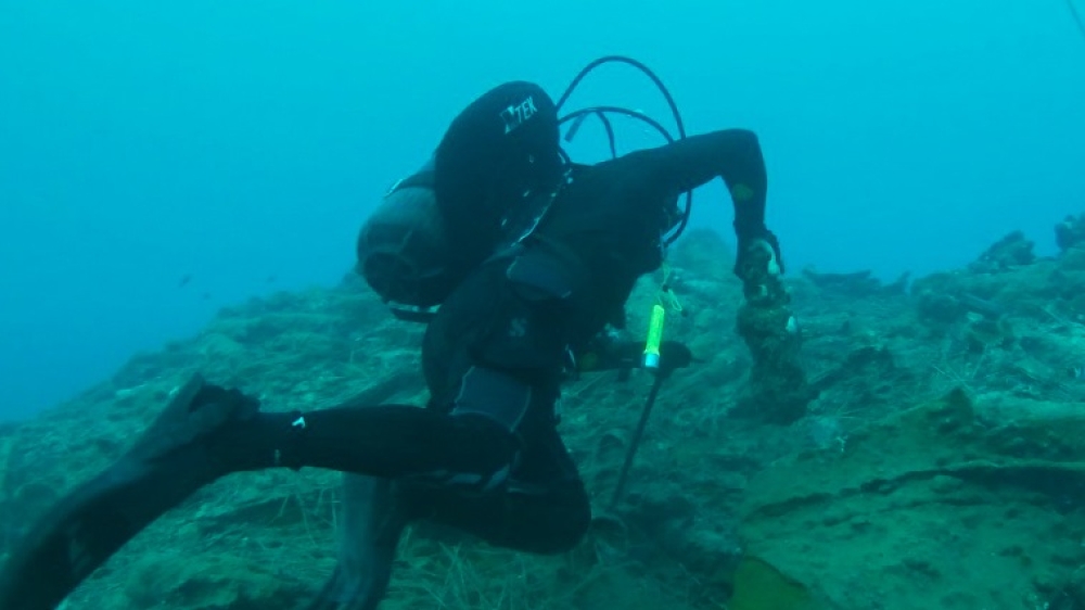 &Omicron;&rho;&gamma;&alpha;&nu;ώ&nu;&epsilon;&tau;&alpha;&iota; &epsilon;&pi;&iota;&chi;&epsilon;ί&rho;&eta;&sigma;&eta; &epsilon;&xi;&omicron;&upsilon;&delta;&epsilon;&tau;έ&rho;&omega;&sigma;&eta;&sigmaf; &pi;&upsilon;&rho;&omicron;&mu;&alpha;&chi;&iota;&kappa;&omicron;ύ &sigma;&tau;&eta;&nu; &Epsilon;&lambda;&alpha;&phi;ό&nu;&eta;&sigma;&omicron;