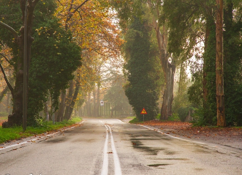 &Pi;&rho;&omicron;&sigmaf; &chi;&rho;&eta;&mu;&alpha;&tau;&omicron;&delta;ό&tau;&eta;&sigma;&eta; &eta; &alpha;&nu;ά&pi;&lambda;&alpha;&sigma;&eta; έ&nu;&alpha;&nu;&tau;&iota; &tau;&omicron;&upsilon; &Pi;ά&rho;&kappa;&omicron;&upsilon; &Gamma;&omicron;&upsilon;&delta;έ