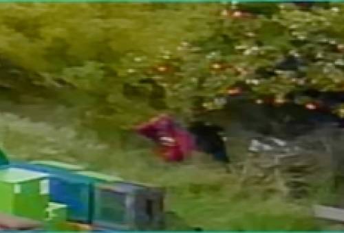 Άνδρο παραβατικότητας έχει γίνει η Τραπεζοντή