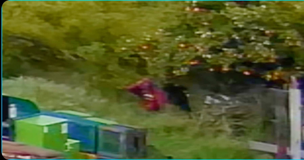 Ά&nu;&delta;&rho;&omicron; &pi;&alpha;&rho;&alpha;&beta;&alpha;&tau;&iota;&kappa;ό&tau;&eta;&tau;&alpha;&sigmaf; έ&chi;&epsilon;&iota; &gamma;ί&nu;&epsilon;&iota; &eta; &Tau;&rho;&alpha;&pi;&epsilon;&zeta;&omicron;&nu;&tau;ή