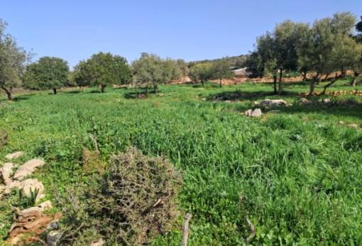 Σπόρο περιβαλλοντικής αναζωογόνησης  έριξε ο Κυνηγετικός Σύλλογος Μολάων