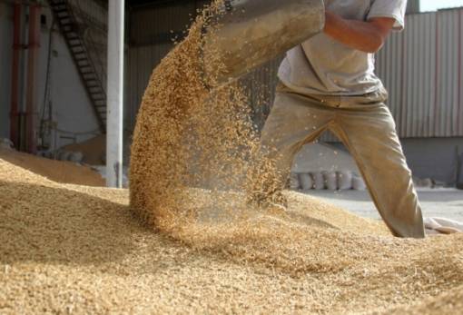 Νέα μείωση στην παραγωγή ζωοτροφών στην ΕΕ το 2023