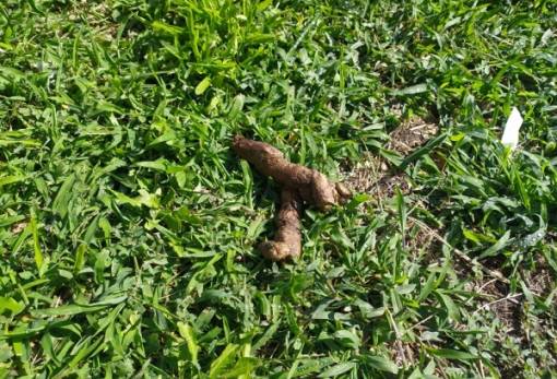 Το δικό σας σχόλιο: Αντιαισθητικές εικόνες