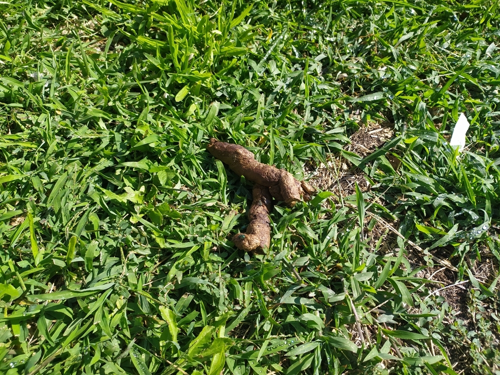 &Tau;&omicron; &delta;&iota;&kappa;ό &sigma;&alpha;&sigmaf; &sigma;&chi;ό&lambda;&iota;&omicron;: &Alpha;&nu;&tau;&iota;&alpha;&iota;&sigma;&theta;&eta;&tau;&iota;&kappa;έ&sigmaf; &epsilon;&iota;&kappa;ό&nu;&epsilon;&sigmaf;