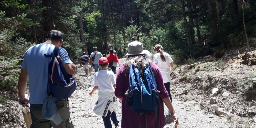 &Tau;&iota; &kappa;&rho;ύ&beta;&epsilon;&tau;&alpha;&iota; &sigma;&tau;&omicron; &delta;ά&sigma;&omicron;&sigmaf;;