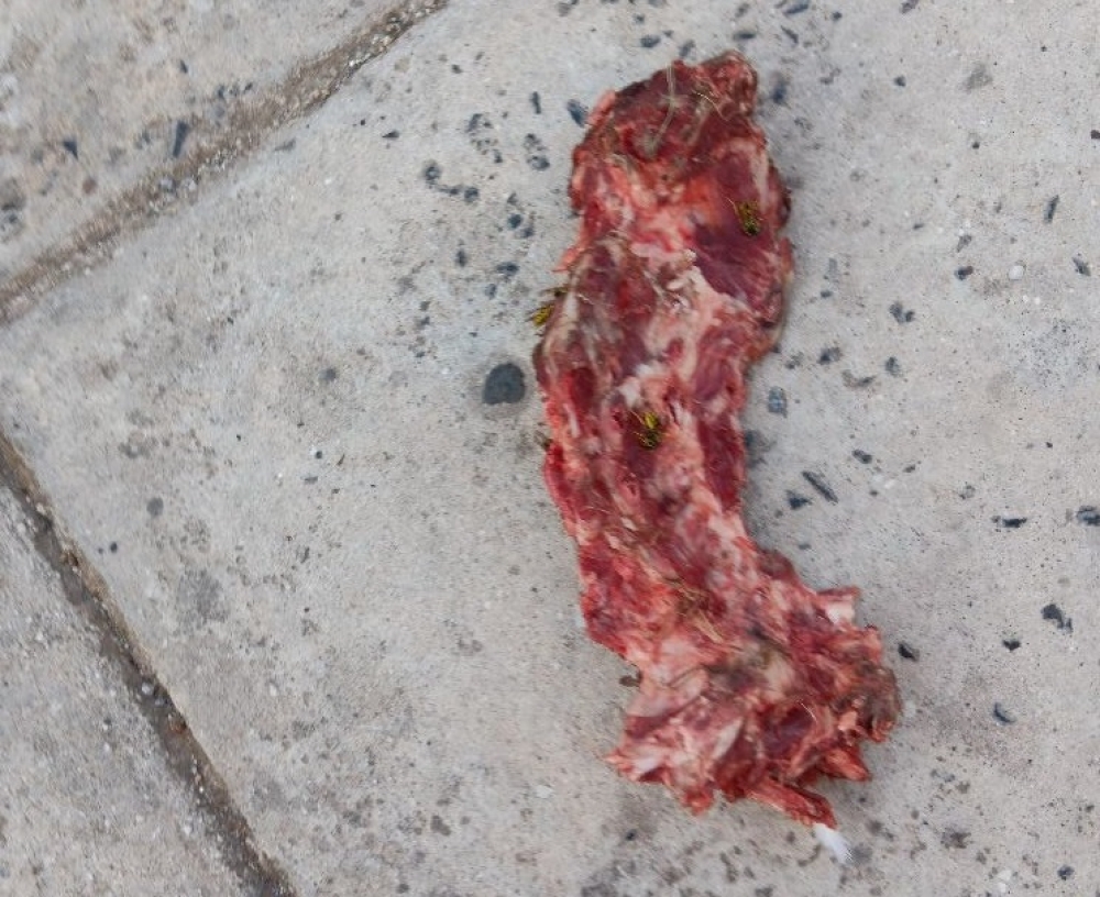 &Epsilon;&pi;&iota;&kappa;ί&nu;&delta;&upsilon;&nu;&eta; &epsilon;&sigma;&tau;ί&alpha; &mu;ό&lambda;&upsilon;&nu;&sigma;&eta;&sigmaf; &sigma;&tau;&omicron; &kappa;έ&nu;&tau;&rho;&omicron; &tau;&eta;&sigmaf; &Sigma;&pi;ά&rho;&tau;&eta;&sigmaf; (&Phi;&Omega;&Tau;&Omicron;)