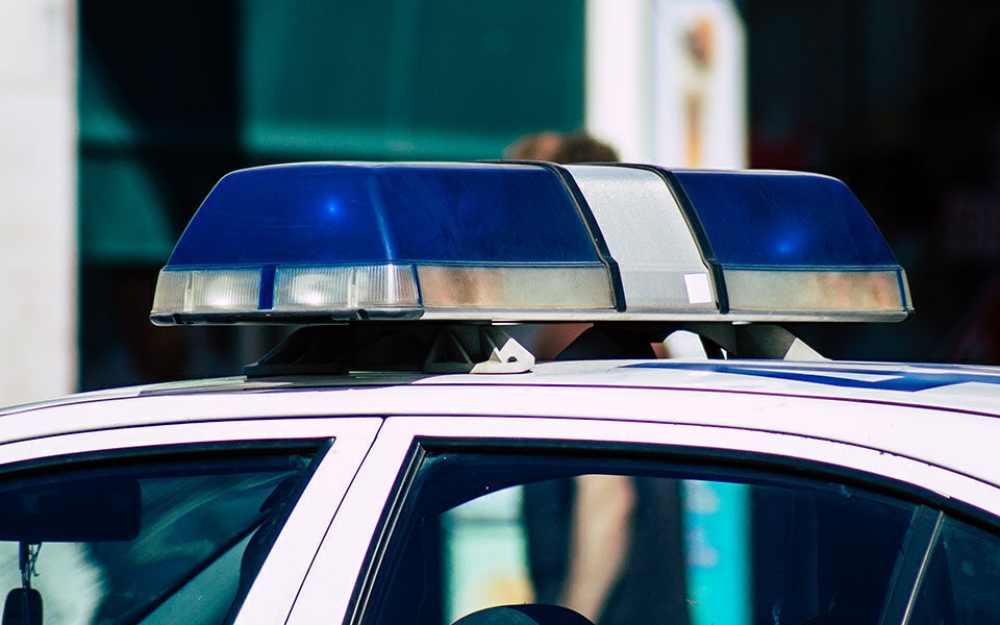 &Kappa;&alpha;&rho;&delta;ί&tau;&sigma;&alpha;: &Pi;έ&nu;&tau;&epsilon; &sigma;&upsilon;&lambda;&lambda;ή&psi;&epsilon;&iota;&sigmaf; &gamma;&iota;&alpha; &alpha;&pi;ό&pi;&epsilon;&iota;&rho;&alpha; &epsilon;&xi;&alpha;&gamma;&omicron;&rho;ά&sigmaf; &psi;ή&phi;&omega;&nu;