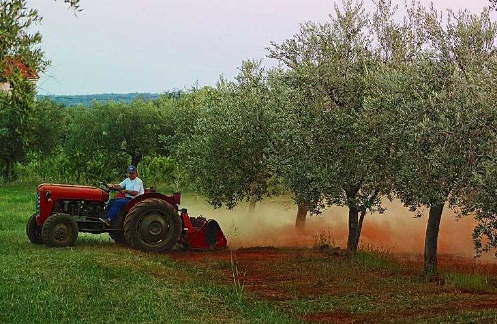 &Epsilon;&upsilon;&rho;&omega;&pi;&alpha;ϊ&kappa;ή &gamma;&epsilon;&omega;&rho;&gamma;ί&alpha;: &Lambda;&iota;&gamma;ό&tau;&epsilon;&rho;&epsilon;&sigmaf; &epsilon;&kappa;&mu;&epsilon;&tau;&alpha;&lambda;&lambda;&epsilon;ύ&sigma;&epsilon;&iota;&sigmaf;, &chi;&alpha;&mu;&eta;&lambda;ό&tau;&epsilon;&rho;&alpha; &epsilon;&iota;&sigma;&omicron;&delta;ή&mu;&alpha;&tau;&alpha;
