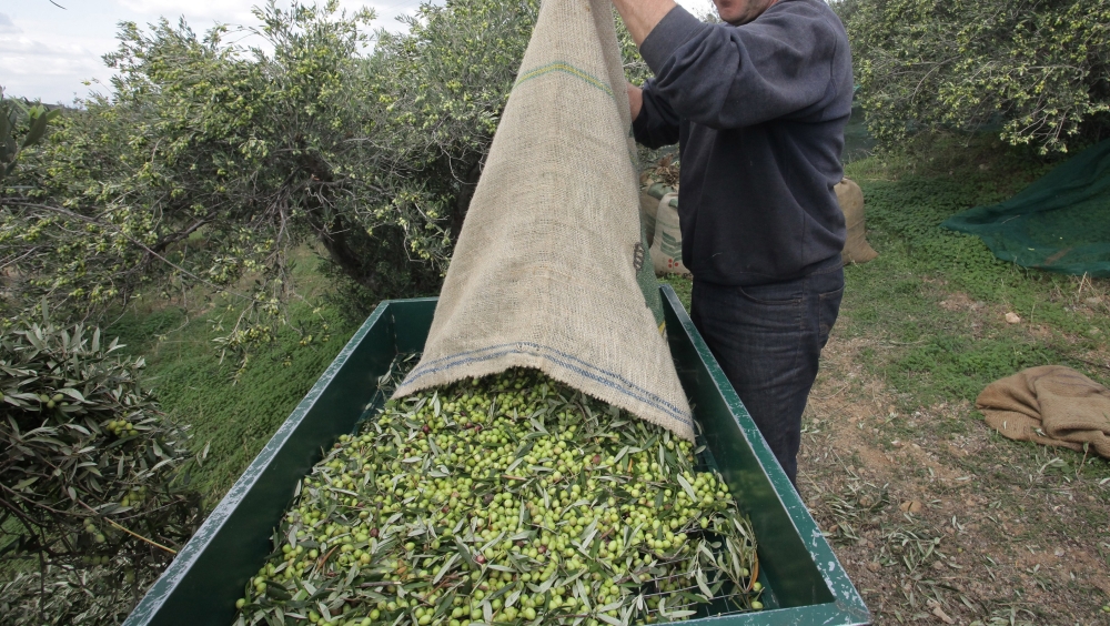 &Eta; &nu;έ&alpha; &laquo;&sigma;&upsilon;&nu;&tau;&alpha;&gamma;ή&raquo; &gamma;&iota;&alpha; &tau;&eta;&nu; &alpha;&gamma;&rho;&omicron;&tau;&iota;&kappa;ή &alpha;&nu;ά&pi;&tau;&upsilon;&xi;&eta;