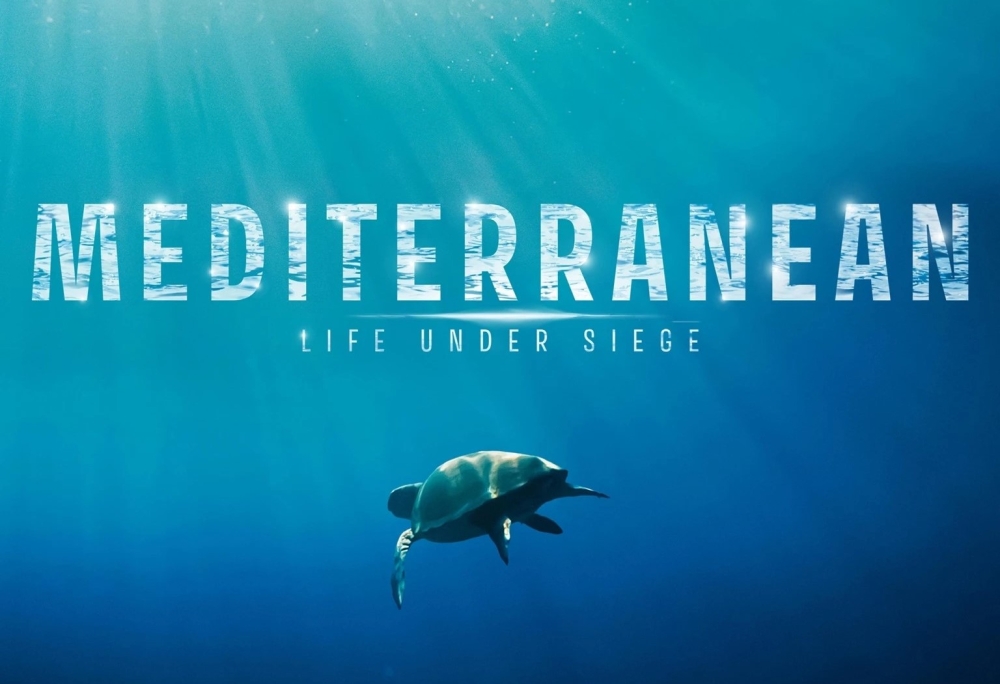 &Eta; &laquo;&Pi;&omicron;&lambda;&iota;&omicron;&rho;&kappa;&eta;&mu;έ&nu;&eta; &Mu;&epsilon;&sigma;ό&gamma;&epsilon;&iota;&omicron;&sigmaf;&raquo; &epsilon;&kappa;&pi;έ&mu;&pi;&epsilon;&iota; SOS &mu;έ&sigma;&omega; &nu;&tau;&omicron;&kappa;&iota;&mu;&alpha;&nu;&tau;έ&rho; &sigma;&tau;&omicron; &Mu;&omicron;&upsilon;&sigma;&epsilon;ί&omicron; &Epsilon;&lambda;&iota;ά&sigmaf; &kappa;&alpha;&iota; &Lambda;&alpha;&delta;&iota;&omicron;ύ