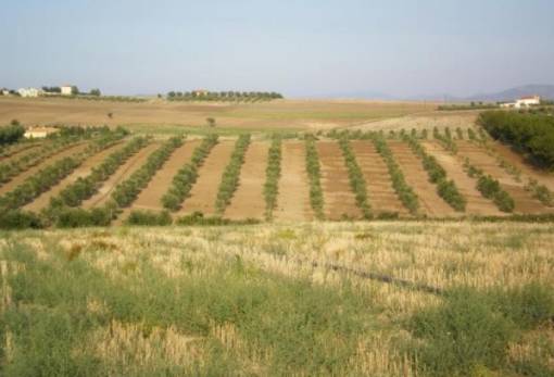 1 δισ. ευρώ για αγροτική καινοτομία… αλλά τα χωράφια δεν την είδαν