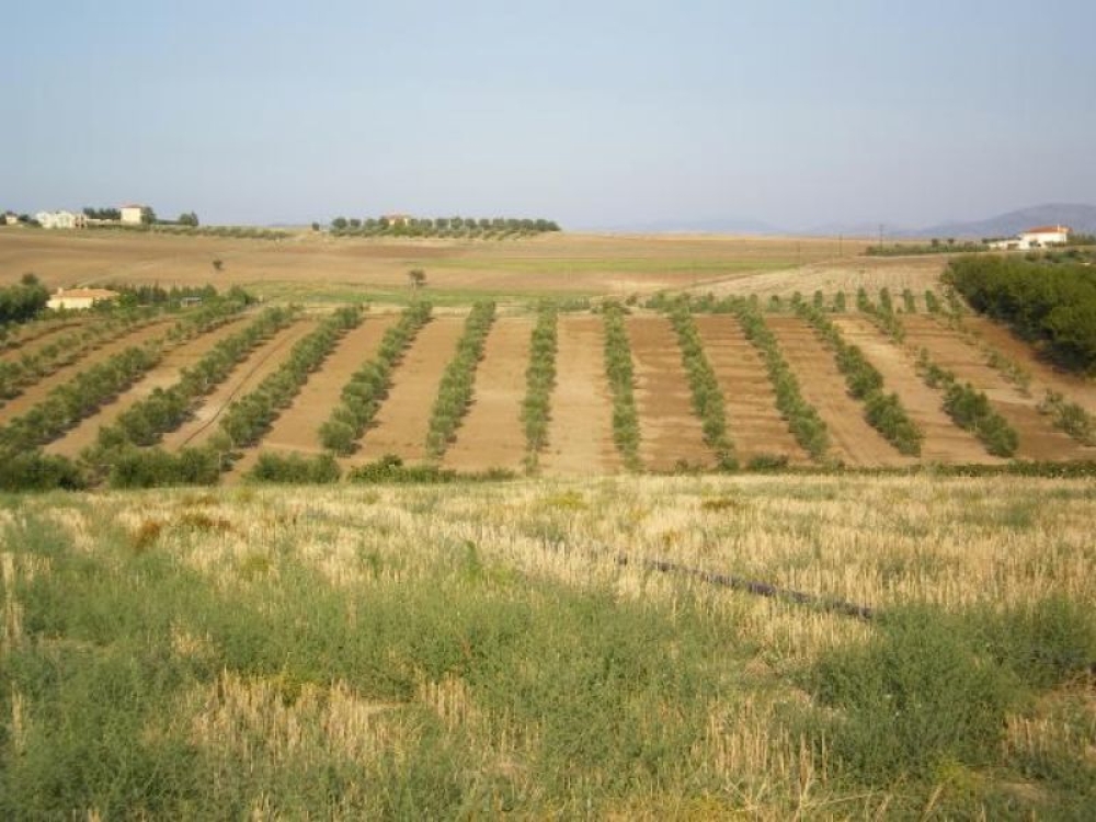 1 &delta;&iota;&sigma;. &epsilon;&upsilon;&rho;ώ &gamma;&iota;&alpha; &alpha;&gamma;&rho;&omicron;&tau;&iota;&kappa;ή &kappa;&alpha;&iota;&nu;&omicron;&tau;&omicron;&mu;ί&alpha;&hellip; &alpha;&lambda;&lambda;ά &tau;&alpha; &chi;&omega;&rho;ά&phi;&iota;&alpha; &delta;&epsilon;&nu; &tau;&eta;&nu; &epsilon;ί&delta;&alpha;&nu;
