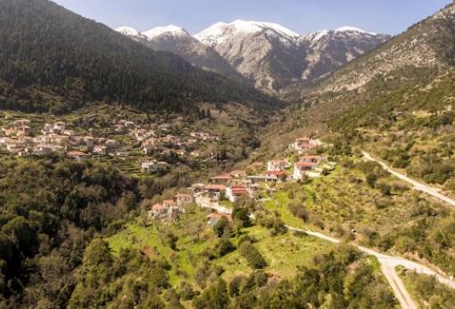 Δράση για την προστασία κι ανάδειξη του Πάρνωνα