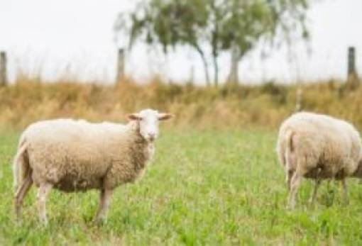 Έως τέλη Ιουνίου η πρόσκληση για τις Αυτόχθονες Φυλές