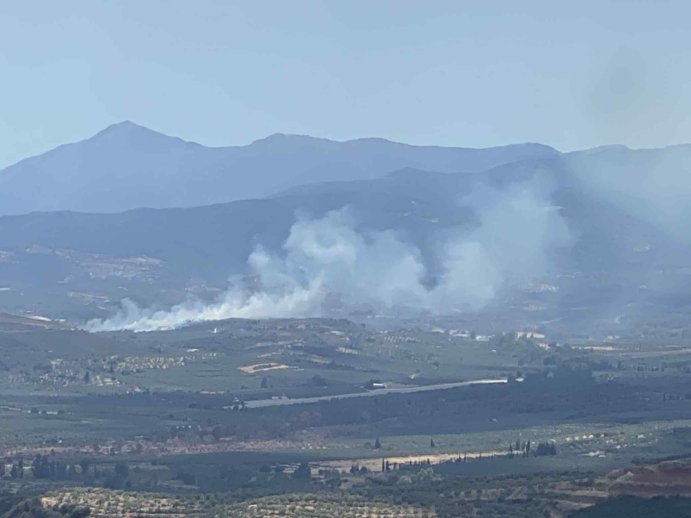 &Phi;&omega;&tau;&iota;ά &sigma;&epsilon; &alpha;&gamma;&rho;&omicron;&tau;&omicron;&delta;&alpha;&sigma;&iota;&kappa;ή έ&kappa;&tau;&alpha;&sigma;&eta; &sigma;&tau;&omicron; &Delta;&alpha;&phi;&nu;ί