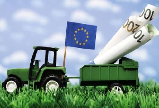 Προϋπολογισμός ΕΕ: Μαχαίρι στα κονδύλια της ΚΑΠ