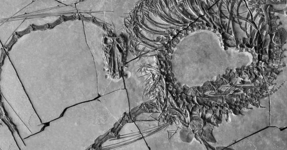 Kί&nu;&alpha;: &Epsilon;&pi;&iota;&sigma;&tau;ή&mu;&omicron;&nu;&epsilon;&sigmaf; &alpha;&pi;&omicron;&kappa;&alpha;&lambda;ύ&pi;&tau;&omicron;&upsilon;&nu; &upsilon;&delta;&rho;ό&beta;&iota;&omicron; &epsilon;&rho;&pi;&epsilon;&tau;ό 240 &epsilon;&kappa;&alpha;&tau;. &epsilon;&tau;ώ&nu; &pi;&omicron;&upsilon; &theta;&upsilon;&mu;ί&zeta;&epsilon;&iota; &laquo;&delta;&rho;ά&kappa;&omicron;&raquo;